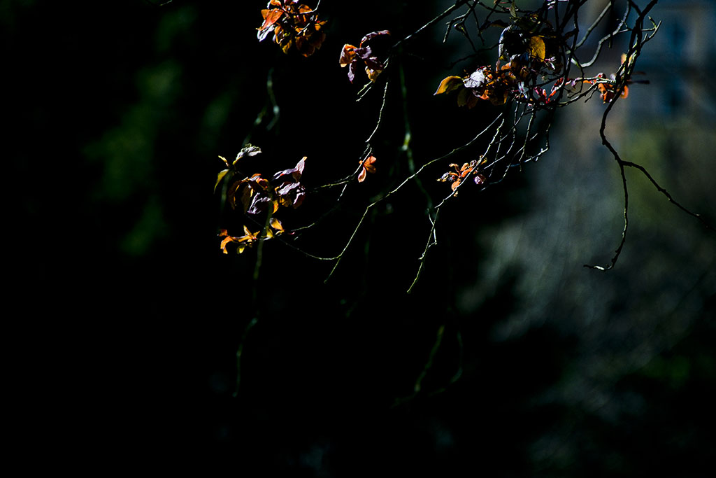 Photography example 1