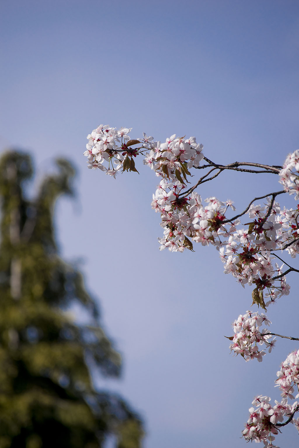 Photography example 2