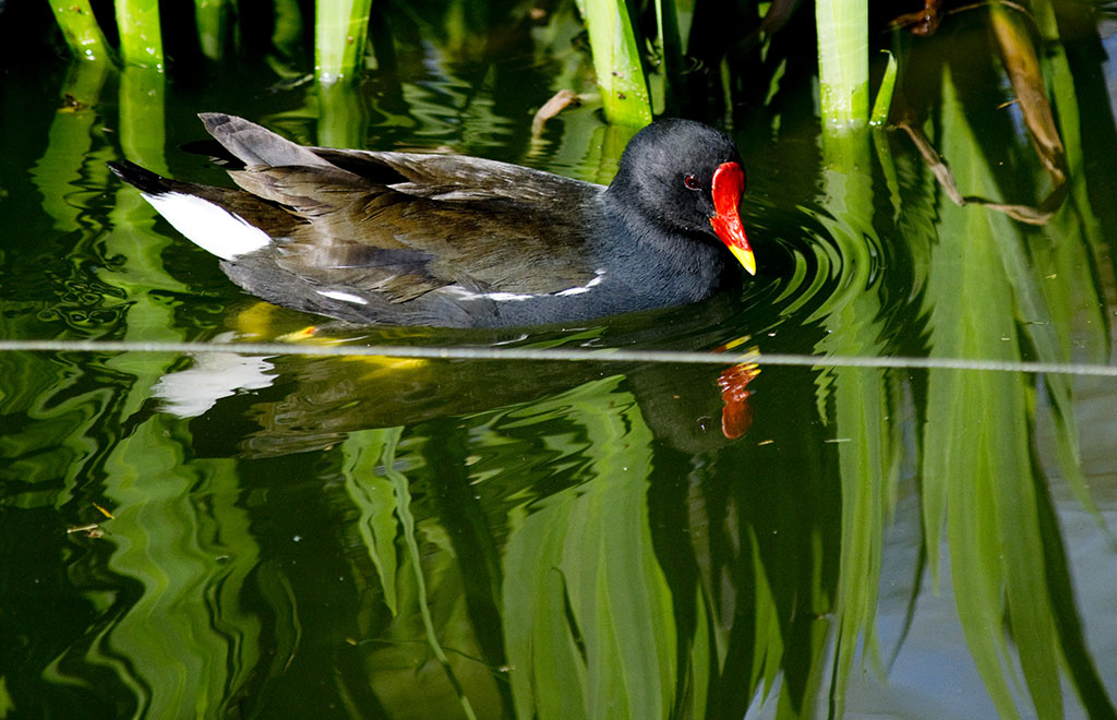Bristol Zoo Photo