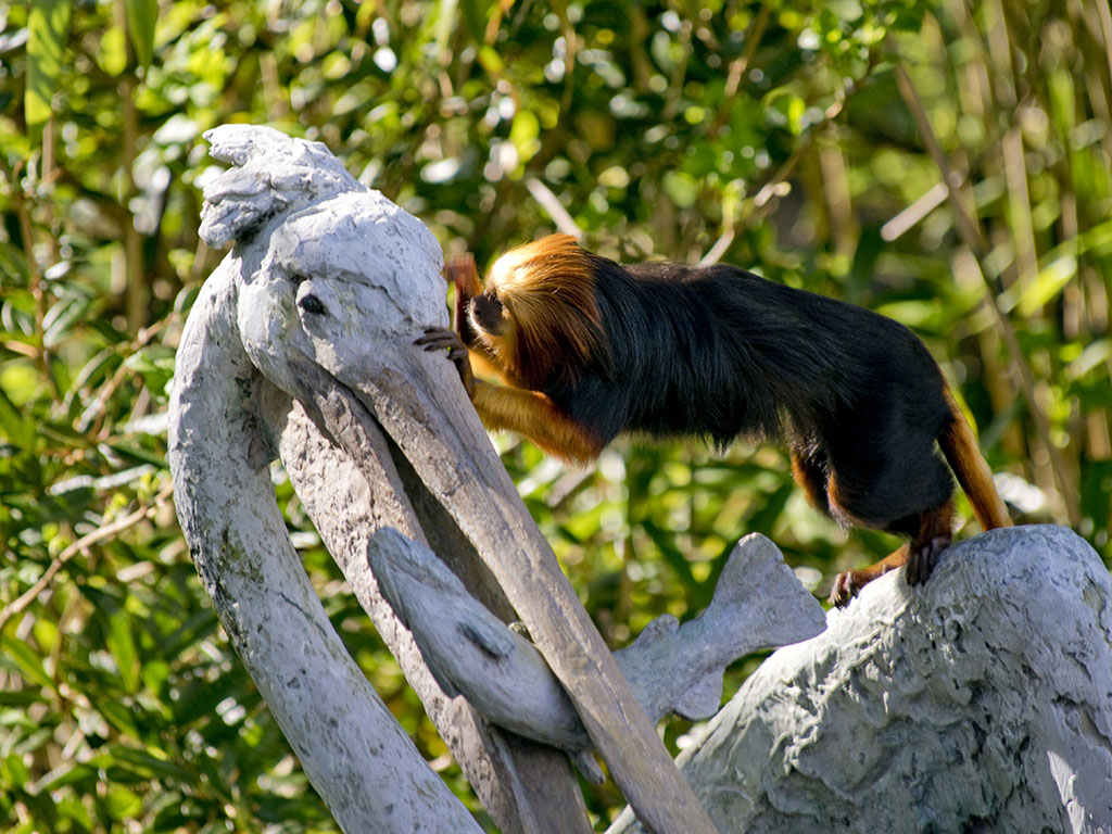 Bristol Zoo Photo