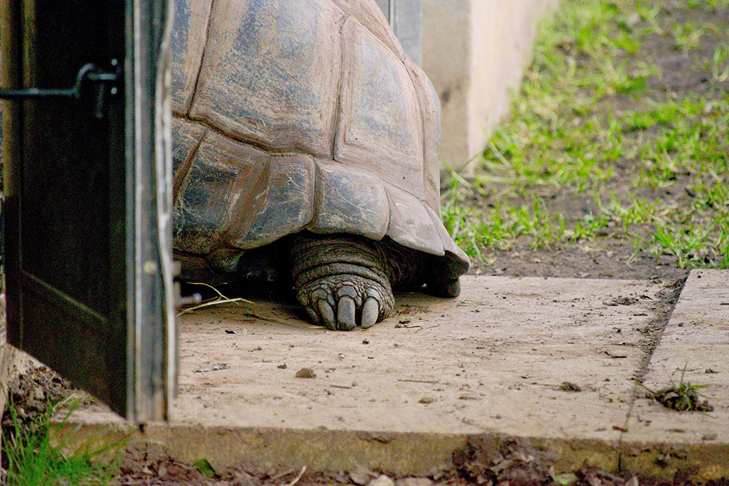 Bristol Zoo Photo