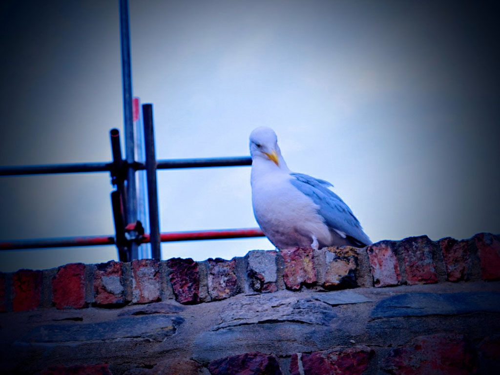 Bristol Photo