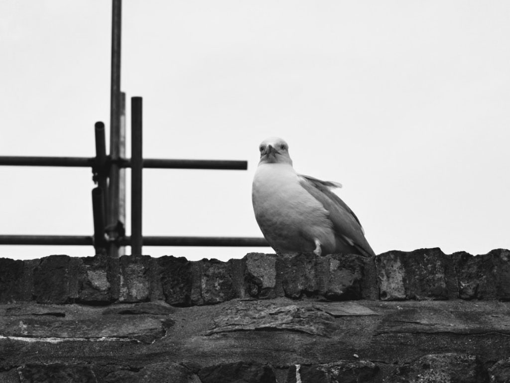 Bristol Photo