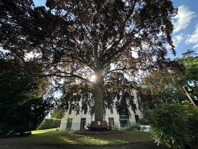 Cambridge Photo